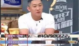 袁磊爆料曹云金视频播放,袁磊揭露曹云金视频播放背后的真相